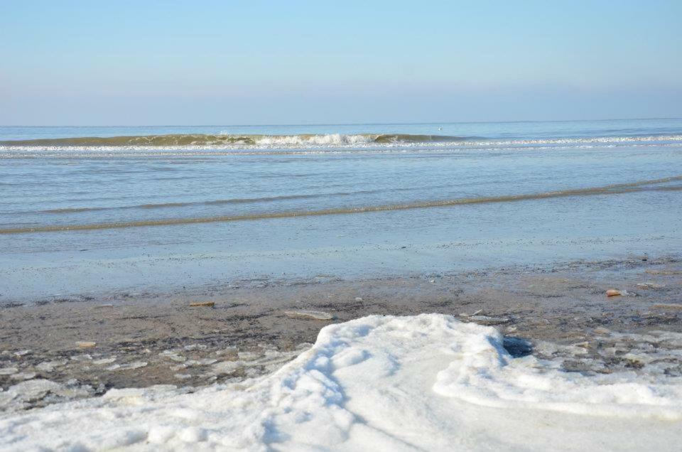 נורדוויק Pension 'T Hofje 350 Meter Van Het Strand מראה חיצוני תמונה